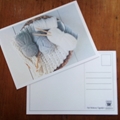 Postcard : Knit & Crochet Circle