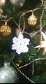 Decor: Snowflakes Set of 6